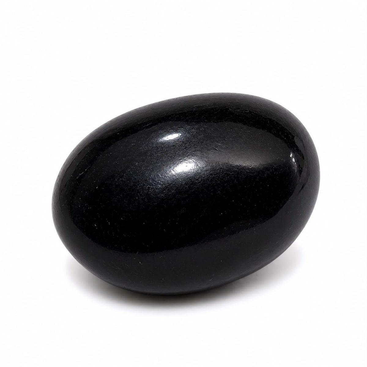 Jogan Meera Shaligram Ji – Sacred Thakur Ji Idol