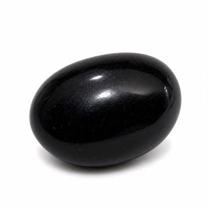 Jogan Meera Shaligram Ji – Sacred Thakur Ji Idol