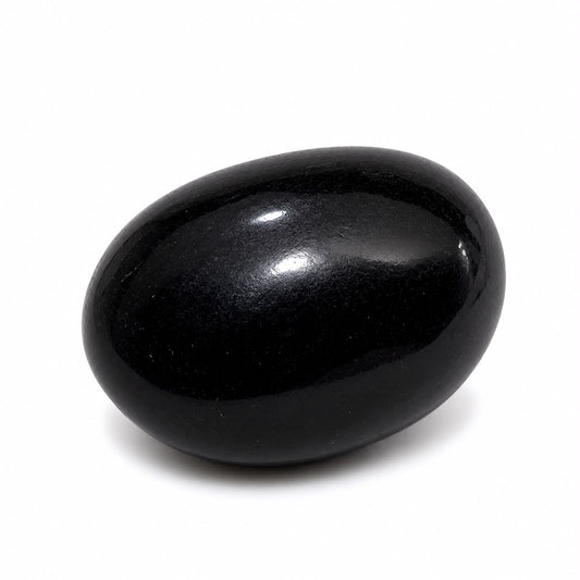 Jogan Meera Shaligram Ji – Sacred Thakur Ji Idol