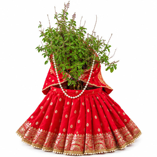 Jogan Meera Tulsi Ji Banarasi Poshak with Chunni