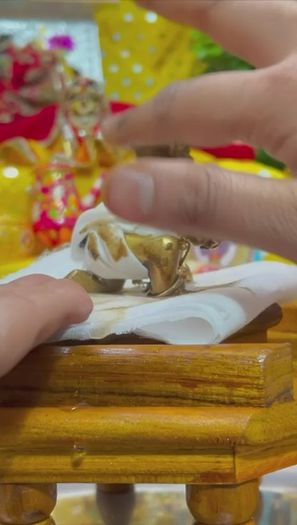 Jogan Meera Daily Seva Combo for Laddu Gopal Ji